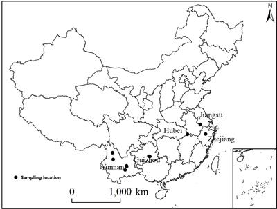 High Altitude Is Beneficial for Antioxidant Components and Sweetness Accumulation of Rabbiteye Blueberry